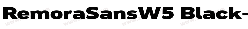 RemoraSansW5 Black字体转换